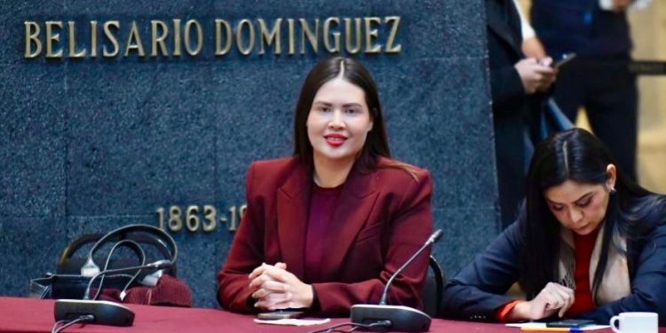 Anahí González participa en la definición de la ruta legislativa de MORENA