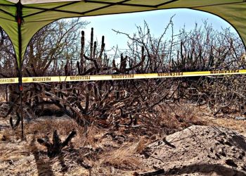 Colectivo de búsqueda descubre fosa clandestina en La Paz, Baja California Sur