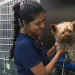 Hospital veterinario de Cancún operará con autonomía económica
