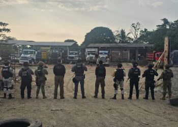 Aseguran inmueble en Huixtla con decenas de vehículos vinculados al crimen organizado