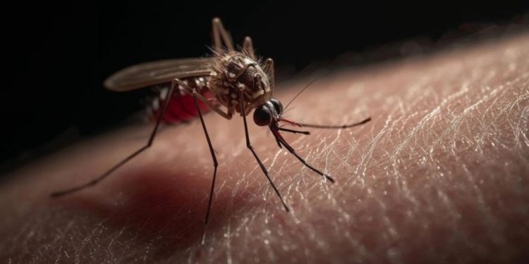 Tabasco se coloca entre los estados con más casos de dengue en el país
