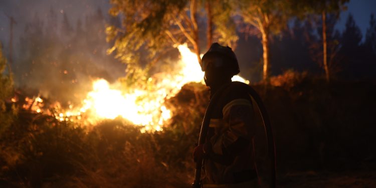 Cambio climático triplicó la probabilidad de megaincendios en Chile