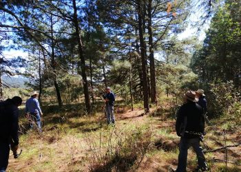 El gobierno capitalino capacita en el saneamiento de Bosques del Suelo de Conservación afectados por el escarabajo descotezador