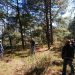 El gobierno capitalino capacita en el saneamiento de Bosques del Suelo de Conservación afectados por el escarabajo descotezador