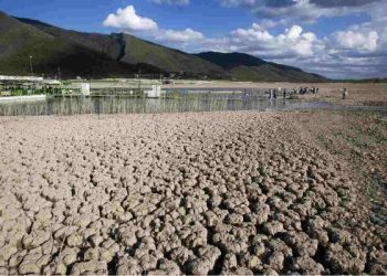 Libres de sequía, más de 2 mil municipios en México: Conagua