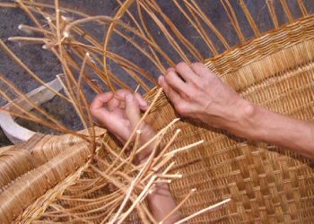 Tabasco impulsa sello maya para proteger la herencia ancestral