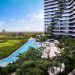Corredores urbanos de Cancún podrían albergar edificios de hasta 20 pisos