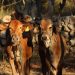 Exhortan a reforzar la revisión de animales ante casos de gusano barrenador