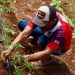 Siembran esperanza y cosechan bienestar para sus familias y el campo yucateco