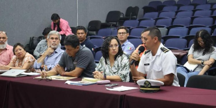 Inicia en Yucatán la temporada de anidación de tortugas marinas