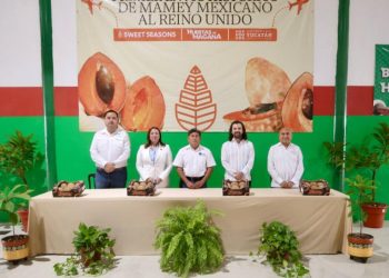 Yucatán concreta primer envío histórico de mamey al Reino Unido