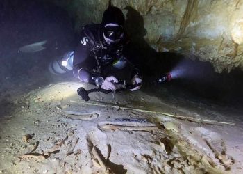 INAH traslada fósiles humanos hallados en Sac Actun para su estudio
