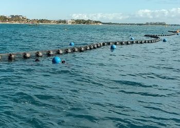 Autoridades reportan más de 7 mil metros de barreras instaladas y 12 mil toneladas de sargazo recolectadas en 2026