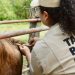 Buscan concluir barrido sanitario en la Chontalpa antes de 2027