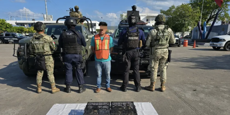 Detienen en Macuspana a presunto traficante de migrantes y fauna silvestre