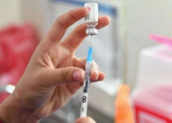 México autoriza vacuna contra el dengue; esto debes saber