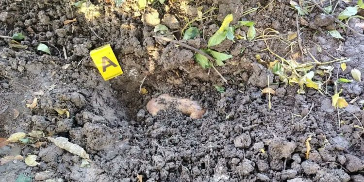 Localizan restos humanos en fosa clandestina dentro de un rancho en Jalpa de Méndez