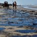 Derrame en el Golfo de México habría iniciado desde febrero, denuncian ONG