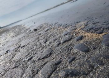 Denuncian contaminación por chapopote en playas del Golfo; comunidades piden investigación