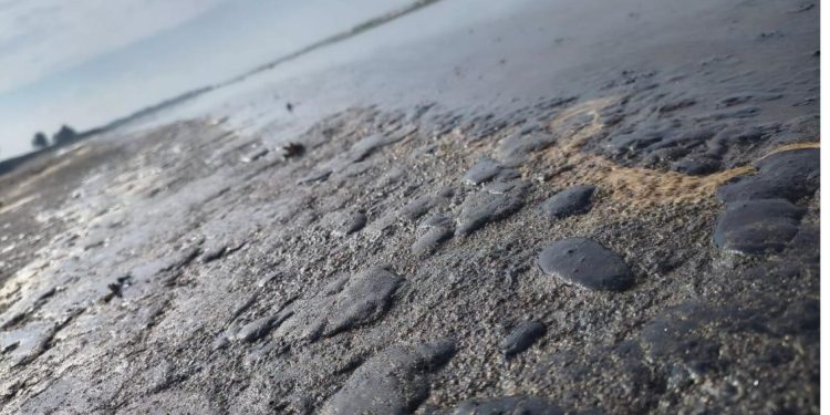 Denuncian contaminación por chapopote en playas del Golfo; comunidades piden investigación
