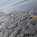 Denuncian contaminación por chapopote en playas del Golfo; comunidades piden investigación