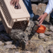 Operativo federal asegura 138 ejemplares y refuerza combate al tráfico de fauna en el sureste