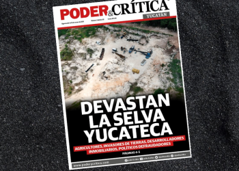Periódico #5 Yucatán Año XII