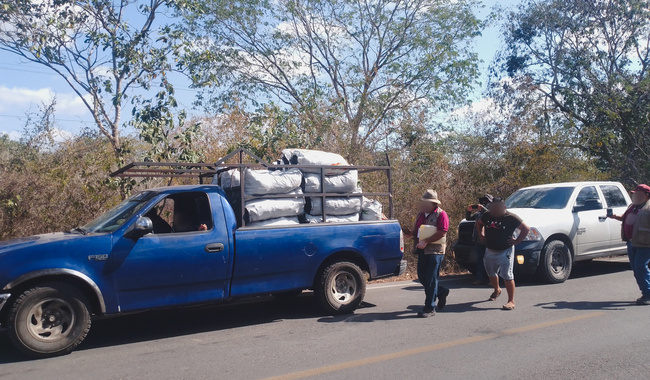 DEVASTAN LA SELVA YUCATECA, AGRICULTORES, INVASORES DE TIERRAS, DESARROLLADORES INMOBILIARIOS, POLÍTICOS DEFRAUDADORES