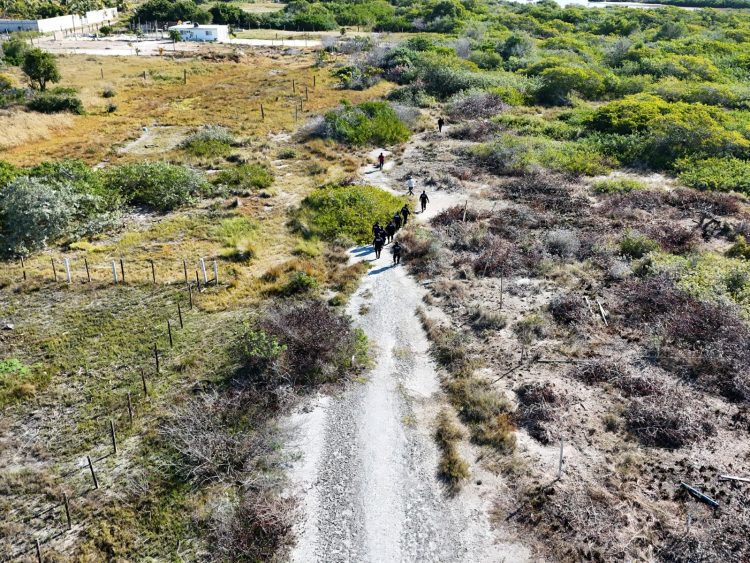 DEVASTAN LA SELVA YUCATECA, AGRICULTORES, INVASORES DE TIERRAS, DESARROLLADORES INMOBILIARIOS, POLÍTICOS DEFRAUDADORES