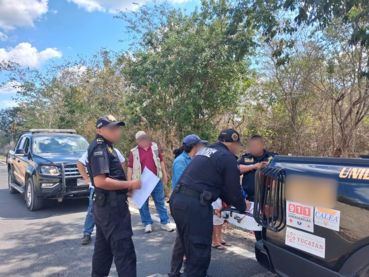 DEVASTAN LA SELVA YUCATECA, AGRICULTORES, INVASORES DE TIERRAS, DESARROLLADORES INMOBILIARIOS, POLÍTICOS DEFRAUDADORES