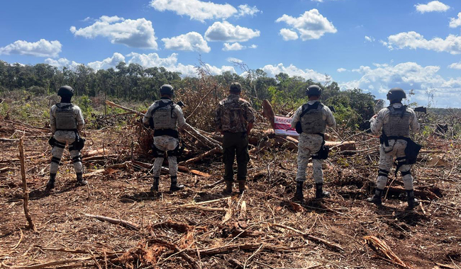 DEVASTAN LA SELVA YUCATECA, AGRICULTORES, INVASORES DE TIERRAS, DESARROLLADORES INMOBILIARIOS, POLÍTICOS DEFRAUDADORES