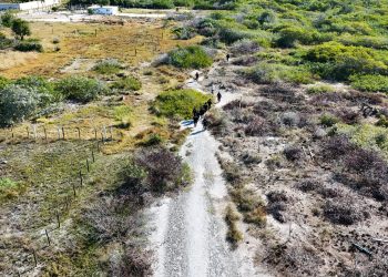 DEVASTAN LA SELVA YUCATECA, AGRICULTORES, INVASORES DE TIERRAS, DESARROLLADORES INMOBILIARIOS, POLÍTICOS DEFRAUDADORES
