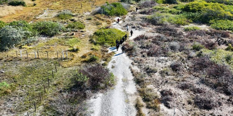 DEVASTAN LA SELVA YUCATECA, AGRICULTORES, INVASORES DE TIERRAS, DESARROLLADORES INMOBILIARIOS, POLÍTICOS DEFRAUDADORES
