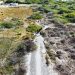 DEVASTAN LA SELVA YUCATECA, AGRICULTORES, INVASORES DE TIERRAS, DESARROLLADORES INMOBILIARIOS, POLÍTICOS DEFRAUDADORES