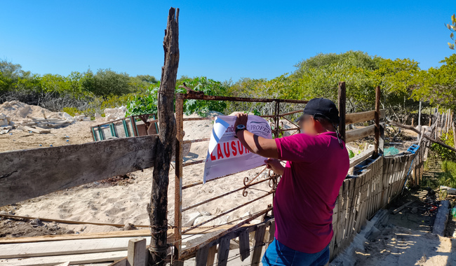 DEVASTAN LA SELVA YUCATECA, AGRICULTORES, INVASORES DE TIERRAS, DESARROLLADORES INMOBILIARIOS, POLÍTICOS DEFRAUDADORES