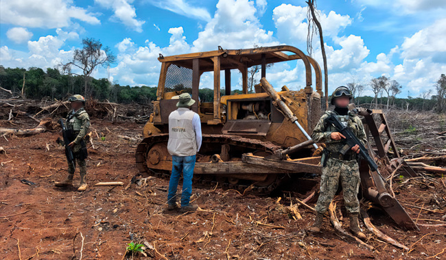 DEVASTAN LA SELVA YUCATECA, AGRICULTORES, INVASORES DE TIERRAS, DESARROLLADORES INMOBILIARIOS, POLÍTICOS DEFRAUDADORES