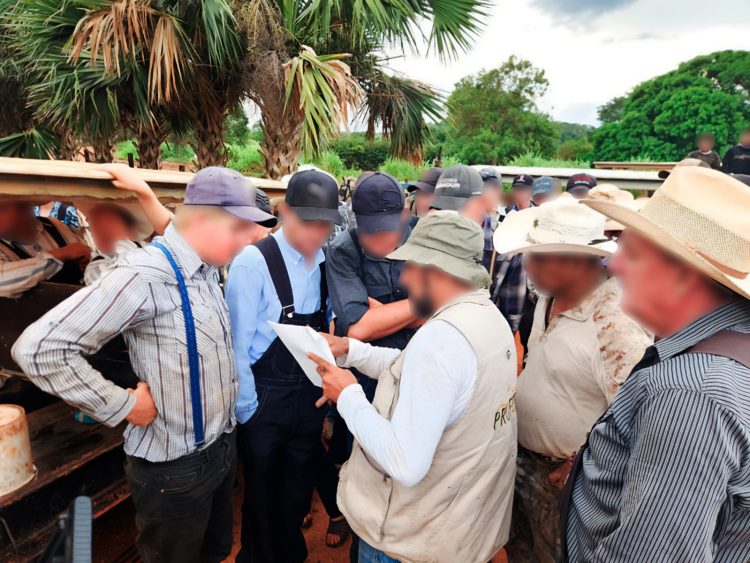DEVASTAN LA SELVA YUCATECA, AGRICULTORES, INVASORES DE TIERRAS, DESARROLLADORES INMOBILIARIOS, POLÍTICOS DEFRAUDADORES