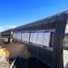 Tren cargado de granos se descarrila en Culiacán; no hay lesionados