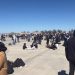 Evacúan aeropuerto de Kansas City por amenaza de seguridad en EE.UU.