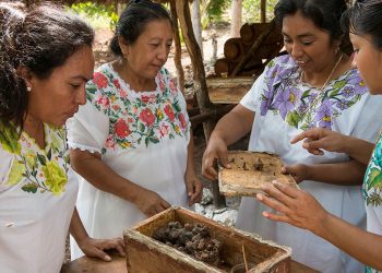 Apicultores mayas apuestan por el turismo regenerativo para proteger a las abejas y la selva