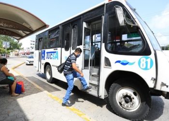Sin cambios por ahora en el transporte público de Playa del Carmen