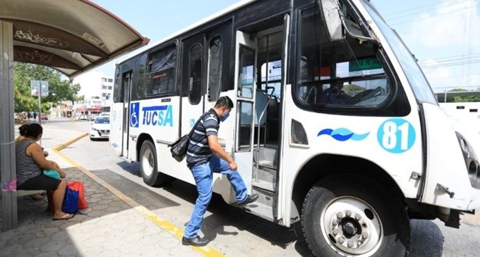 Sin cambios por ahora en el transporte público de Playa del Carmen