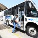Sin cambios por ahora en el transporte público de Playa del Carmen