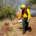 Incendios forestales consumen más de 500 hectáreas en Campeche en lo que va del año