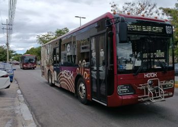 ¡Caos en el Malecón! Transportistas de Campeche se Rebelan contra el «Monopolio» Estatal