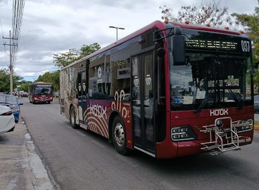 ¡Caos en el Malecón! Transportistas de Campeche se Rebelan contra el «Monopolio» Estatal