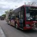¡Caos en el Malecón! Transportistas de Campeche se Rebelan contra el «Monopolio» Estatal