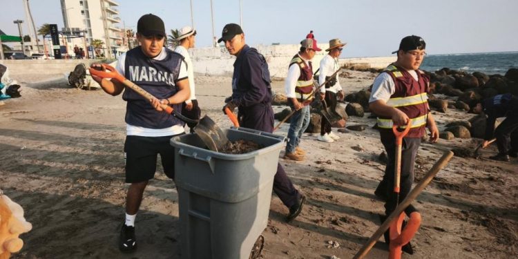 Reportan playas de Tabasco libres de hidrocarburos y aptas para uso turístico