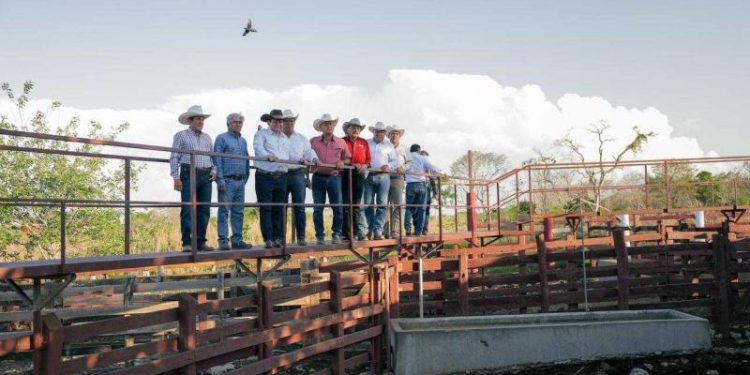 Gobierno del Renacimiento Maya promueve desarrollo rural y social en Panabá