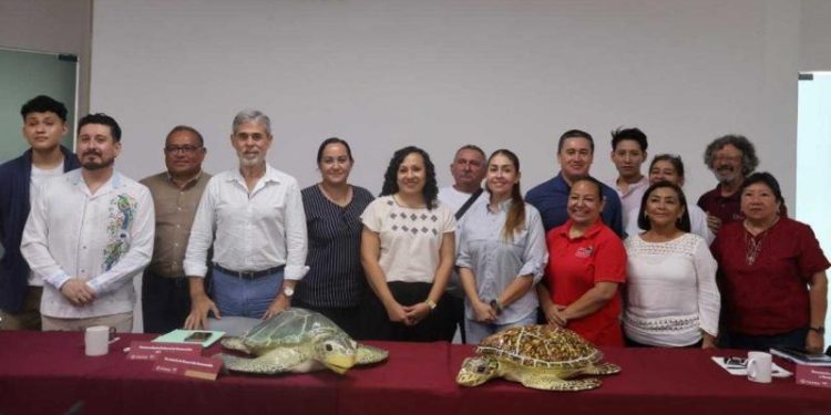 Inicia temporada de anidación de tortugas marinas con protección en 279 kilómetros de costa yucateca